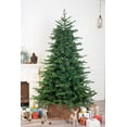 thumbnail image 3 of 9 Foot European Balsam Fir Artificial Christmas Tree Pre-lit with Dual Color LED Lights. (9ft Pre-lit), 3 of 5