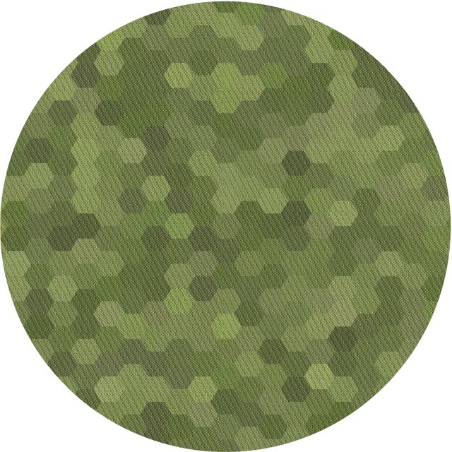 Ahgly Company Tapis d'Intérieur Rond Lavable en Machine Vert Transitionnel Oignon Vert, 5 Pieds Rond