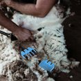 thumbnail image 2 of SHISUYAN 2 Pcs Guide Tondeuse pour Moutons Accessoire Tondeuse Guide Toilettage Cisaille Guide Rasoir Guide, 2 of 9