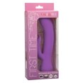 thumbnail image 2 of CalExotics Vibromasseur Lapin pour la Première Fois, Violet, 2 of 10