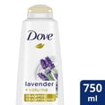 thumbnail image 1 of Dove Lavender + Volume Shampoo, 1 of 8