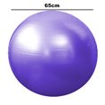 thumbnail image 2 of Balance Exercise Ball - for Yoga, Pregnancy, Home Gym, Pilates, Physical Therapy, Balance, 2 of 5