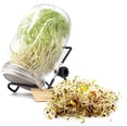 thumbnail image 3 of Sprouting Jar Kit, Wide Mouth Sprouting Lids with Stainless Steel Mesh, 32 Oz Germination Set with Stand and Tray, Complete Seed Sprouter for Home Kitchen Countertop, 3 of 4