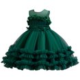 thumbnail image 2 of LOVZFMLL Girls' Summer Short Sleeve Ruffled Lace Round-Neck Embroidery Mesh Princess Bow Skirt, 2 of 8