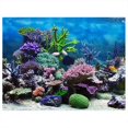 thumbnail image 1 of Noref Fish Tank Decoration Poster, Fish Tank Background Paper,PVC Adhesive Underwater Coral Aquarium Fish Tank Background Poster Backdrop Decoration Paper, 1 of 8