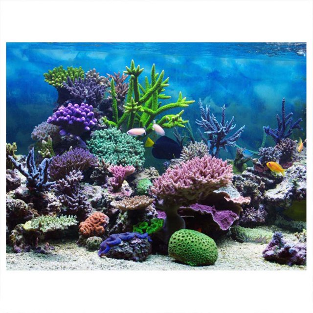 Noref Fish Tank Decoration Poster, Fish Tank Background Paper,PVC Adhesive Underwater Coral Aquarium Fish Tank Background Poster Backdrop Decoration Paper