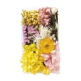 thumbnail image 1 of Dvkptbk Craft Material Dried Flowers Material Kit Diy Everlasting Flowers Material Making Valentine's Day Gift Home Decor, 1 of 2