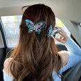 thumbnail image 3 of Femmes Clip Papillons Transparent Forte Griffe Faux Cristal Coiffure Femmes Pince à Cheveux Accessoires, 3 of 11
