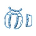 thumbnail image 2 of jinwen 2 Pieces Muscle Relax Roller Massagers Circular Leg Clamps for Arms Neck Gym Blue, 2 of 9