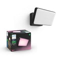 thumbnail image 1 of Philips Hue 1743530V7 Discover Floodlight Black, 1 of 4