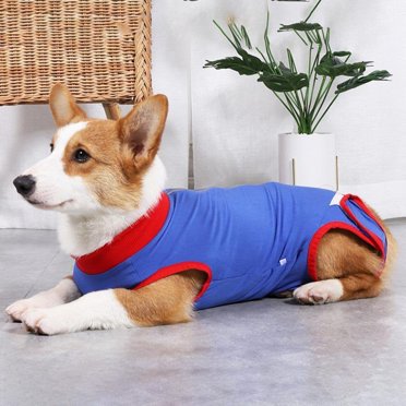 Dog Recovery Suit Pet Cotton Surgery Clothing Anti Licking Wounds Post-Operative Clothes for Dogs Cats Puppy
