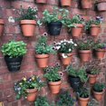 thumbnail image 2 of DYNWAVECA Container Hanger Flower Pot Holder Fence Wall Decor , 17cm, 15cm 17cm 21cm, 2 of 7