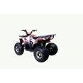 thumbnail image 5 of Tao Motor Raptor 125 VTT de Taille Moyenne Édition Limitée (Assemblage Requis), Graffiti, 5 of 5