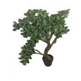 thumbnail image 1 of Jeco HD-BT137 36 in. White Fortune Tree, 1 of 3