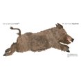 thumbnail image 4 of Can an Aardvark Bark? By Melissa Stewart, 4 of 4
