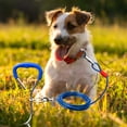 thumbnail image 4 of Heavy Duty Metal Dog Tie Out Stake Kit Secure Outdoor Pet Training Tether for Small and Medium, 4 of 5