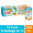 thumbnail image 1 of Canada Dry® Club Soda Orange-Mandarin 355 mL Cans, 12 Pack, 1 of 10