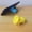 Yellow, variant on Pig Suction Cup Mobile Phone Lazy Mobile Phone Desktop