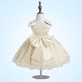 thumbnail image 4 of QIPOPIQ Robe de Fête de Vacances Grande/petite Fille Fleur Dentelle Ligne A Mariage Fête Robes Enfants Concours Anniversaire Robe Formelle Liquidation, 4 of 4