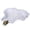 White, variant on Shallow Reptile Water Dish for Tortoise – Smooth and Easy-to-Wash Turtle Tub Designed for Gecko Bathing Pool 1pc