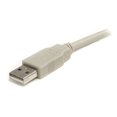 thumbnail image 2 of Startech Prolonger la Distance entre Vos Appareils Usb 2.0 de 10 Pieds - Extension Usb 10 Pieds, 2 of 2