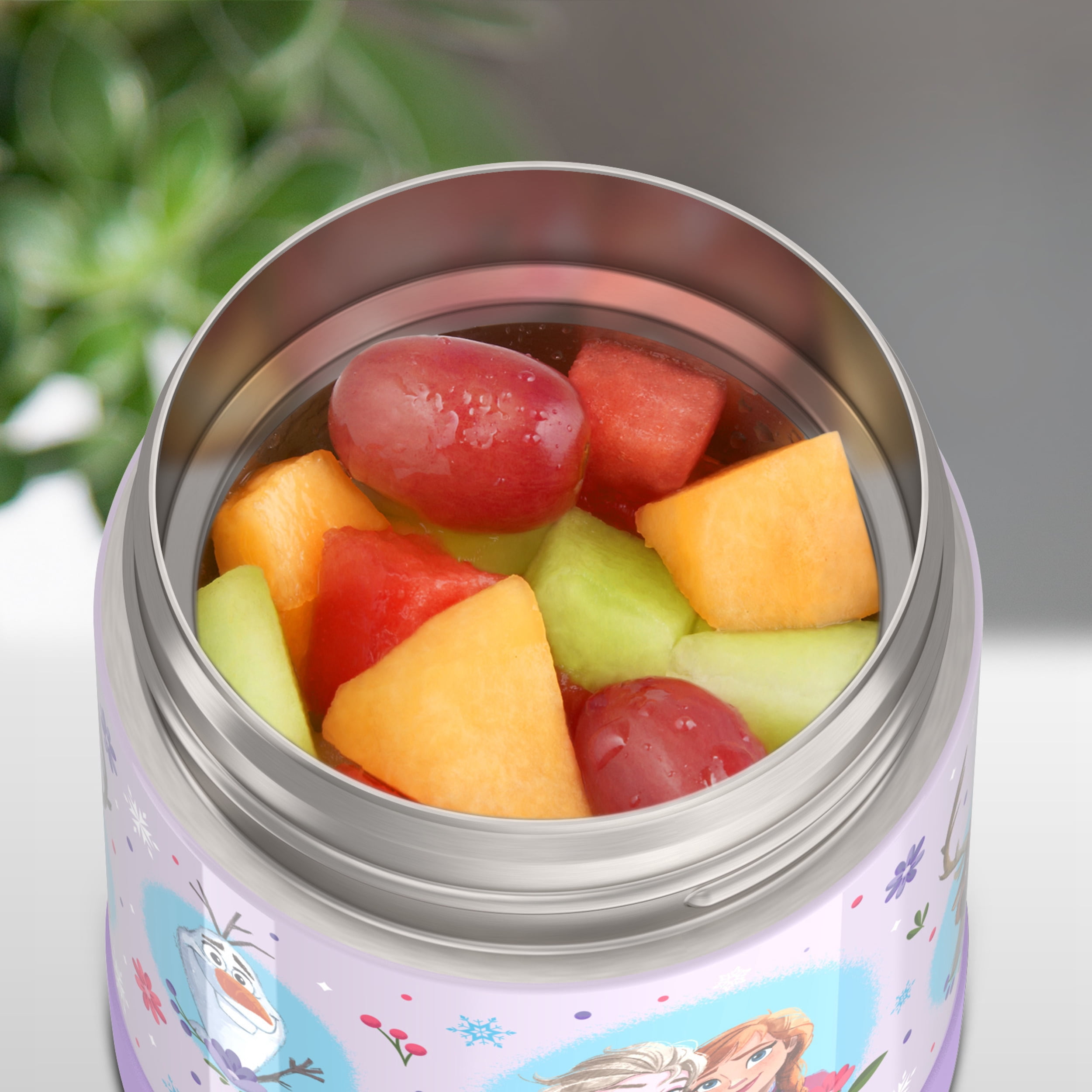 Thermos Kids Stainless Steel Vacuum Insulated Funtainer Food Jar, 10 oz Frozen