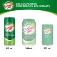 thumbnail image 2 of Canada Dry® Ginger Ale 310 mL Cans, 4 Pack, 2 of 9