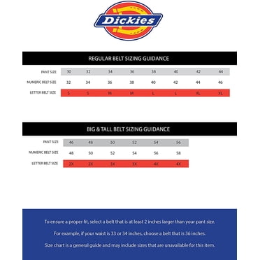 Dickies Ceinture Décontractée en Cuir pour Homme à Bride Grand 38 mm Noire (Brun, Petit (30-32))