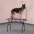 thumbnail image 3 of Pet Edge TP215 36 79 Table de Toilettage Pliable pour Animaux avec Laisse Réglable et Bras, Violet, 3 of 3