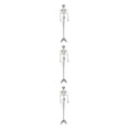 thumbnail image 1 of ZheElen Plastic Skeleton Posable Joints For Unique Halloween Decoration Size For Needs Posable Joints Skeletons 3Set, 1 of 6