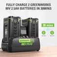 thumbnail image 4 of Greenworks Chargeur Rapide à Double Port 80 V, 4 of 7