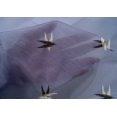 thumbnail image 4 of oneOone Cotton Silk Fabric Arrow Ikat Print Fabric BTY 42 Inch Wide, 4 of 4