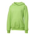 thumbnail image 1 of Clique Basics Youth Flc P/O Hoodie, 1 of 1