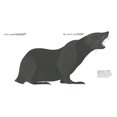 thumbnail image 2 of Can an Aardvark Bark? By Melissa Stewart, 2 of 4
