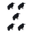thumbnail image 3 of kurtrusly Horror Props For Halloween - High Simulation Black Crow Ornament For Festive Flying Crow 5Set, 3 of 6