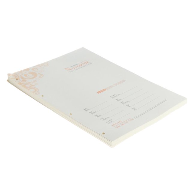 Abbracc 80 Feuilles Format A4 Recharges Non Lignées Inserts de Papier Lignés Inserts de Recharge pour Feuilles Mobiles