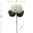 thumbnail image 3 of Mainstays Indoor Artificial Hydrangea Flower Stem, White Color, Assembled Height 24", 3 of 5