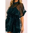 thumbnail image 3 of Robe Transparente en Maille à Pois pour Femme, Été, Mini Bikini avec Ceinture, Couvre-Maillot, 3 of 4