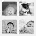 thumbnail image 3 of Cat House, Cat Bed House Foldable Cute Shape  For Floor SPets Within 7.7lb,MPets Within 16.5lb,LFor Several Pets, 3 of 8