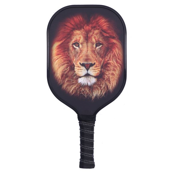 LEIJIAER Ensemble de Palettes de Pickleball en Fibre de Carbone avec Raquette à Face, 2 Pcs Balle et Sac de RangementPK?061,