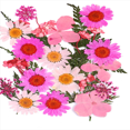 thumbnail image 1 of segolike 25PCS Natural Real Pressed Dried Flowers for Handmade Bookmarks, , Album Decor, D, 1 of 5
