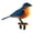 A, variant on Tachiuwa Funny Singing Chirping Bird Sound Activated A A