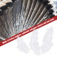 thumbnail image 5 of 50pcs Turkey Feathers for DIY Craft Wedding Home Party Decorations （White）, 5 of 5