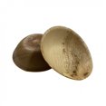thumbnail image 3 of Round Desert Bowls – 2oz.-6 oz.|Bio Mart Leaf Plate|Natural, Eco-friendly,Re-usable, Backyard Compostable Biodegradable, Disposable|Theme Party, Wedding |Round Bowls | Pack of 10, 50 or 100, 3 of 4
