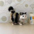 thumbnail image 2 of serony Fluffy Plush Cat Stuffed Animal Toy Creative Christmas Birthday Gift, 2 of 3