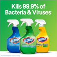 thumbnail image 3 of Clean-Up Cleaner, Disinfectant, Stain Remover, 32 oz. Trigger Spray - 31221, 3 of 4