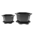 thumbnail image 1 of MasteelfCA 2 Ensembles Pot de Fleurs Miniature pour Succulentes Bassin de Plantation Pot de Floraison avec Plateau, 1 of 9