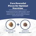 thumbnail image 4 of Blue Buffalo Life Protection Formula Natural Senior Dry Dog Food, Chicken and Brown Rice 4.5KG, 4 of 12