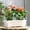 White, variant on Rectangular Window Sill Planter with Integrated Tray for Indoor and Outdoor Gardening Vegetables Flowers