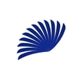thumbnail image 1 of 12 Pieces Archery Hunting Arrow Drops shape Right Feather Fletching Right Wing Fletches 4 inch Dark Blue, 1 of 9